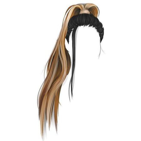 blonde/black ponytail