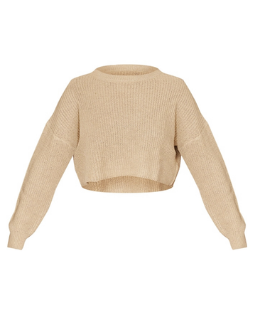 PLT- camel basic crew neck crop sweater