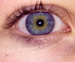 pretty blue yellow eyes aesthetic - Google Search
