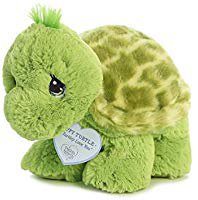 Amazon.com: Aurora Precious Moments 8.5" Zippy Turtle: Gateway