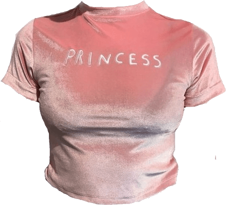 princess pink velvet top
