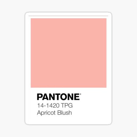 Pantone Apricot Blush - Google Search