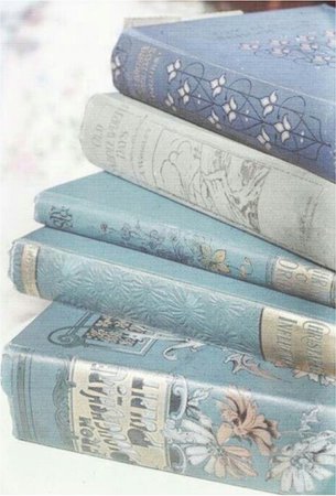 Light Blue Books