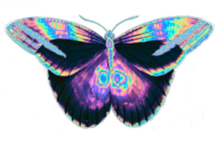 vaporwave butterfly