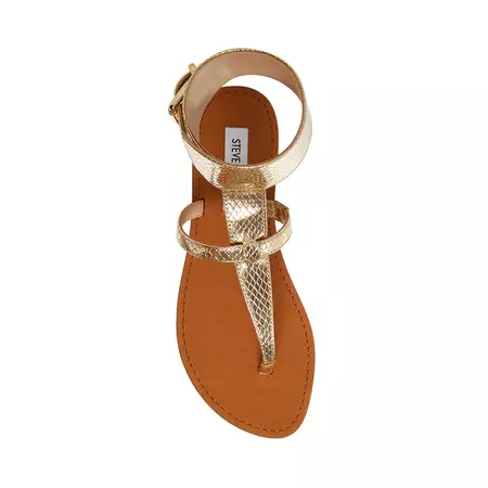 RICO Gold Snake Strappy Thong Sandal | Women's Sandals – Steve Madden