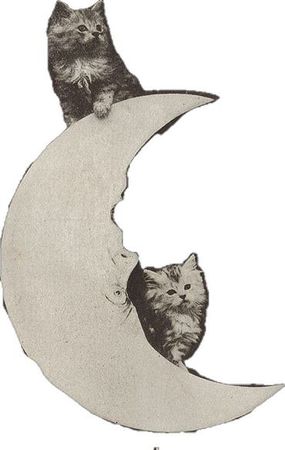 moon cutout with cats aesthetic vibes