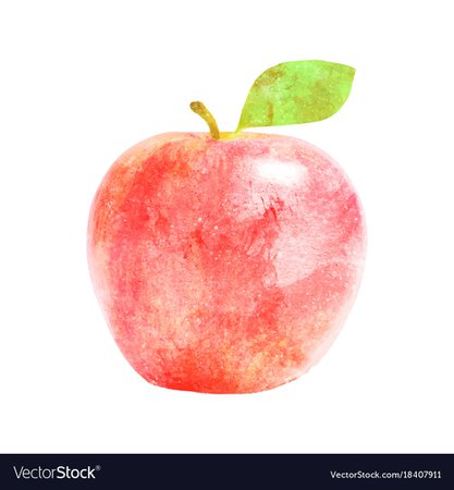 Watercolor red apple fruit with leaf on white Vector Image