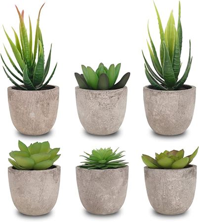SAJANDAS Green Artificial Succulent Plants in Grey Pots Indoor, Set of 6 Fake Succulent Plants Potted, Faux Plants for Home Decor Indoor for Bathroom, Bedroom, Livingroom, Office Table Decoration : Amazon.ca: Home
