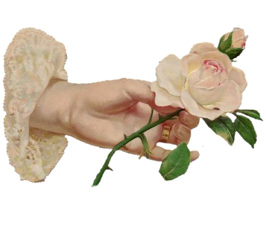 Victorian rose