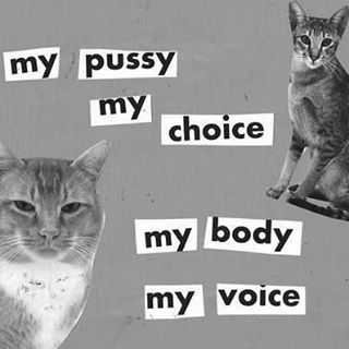 my pussy my choice