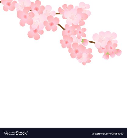 bloom-branch-with-pink-flowers-buds-petals-flying-vector-25989030.jpg (1000×1080)