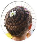 French Braids by Twisted Sisters-Gayle's French Braids Gallery Page