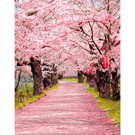 ABPHOTO Polyester 5x7ft Spring Pink Flowers Tree Photography Backdrops Photo Props Studio Background - Walmart.com