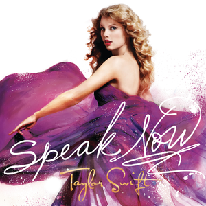 Speak Now (Taylor's Version) Charm Bracelet – Taylor Swift