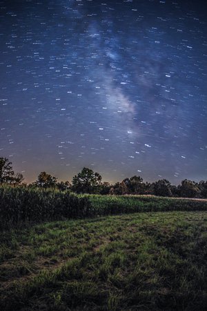 trees and grasses during night time photo – Free Milky way Image on Unsplash