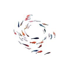 Pinterest | filler fish