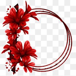 red flowers png