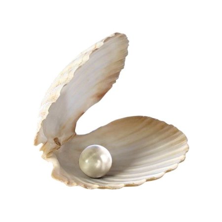 clam with pearl