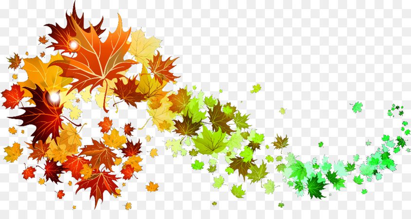 Autumn Tree Branch png download - 938*480 - Free Transparent Autumn Leaf Color png Download. - CleanPNG / KissPNG