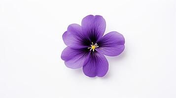violet flower - vecteezy