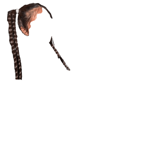 Dark Brown Hair PNG twin pigtails braids