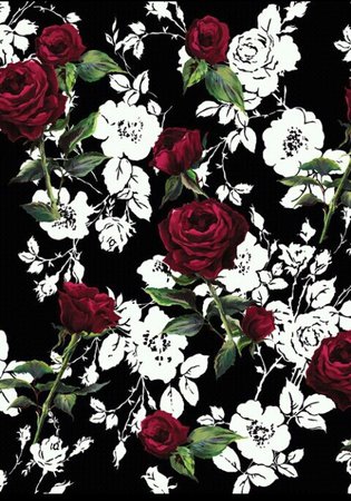 Red Roses on Black and White Print Background