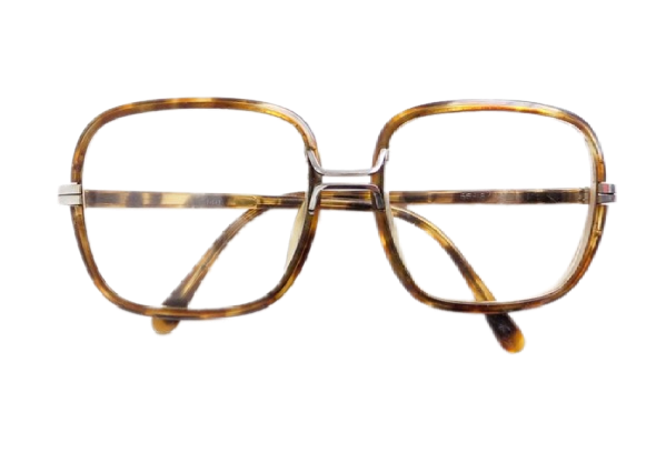 Vintage 60s/70s Glasses