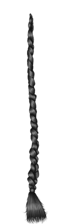 black braid
