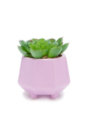 Potted Faux Succulent | Forever 21