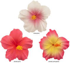 flower hair clips - Google Search