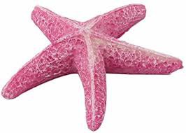 pink starfish - Google Search