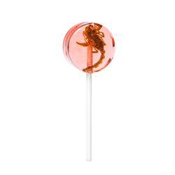 Tropical Scorpion Lollipop 20g – Eat Crawlers