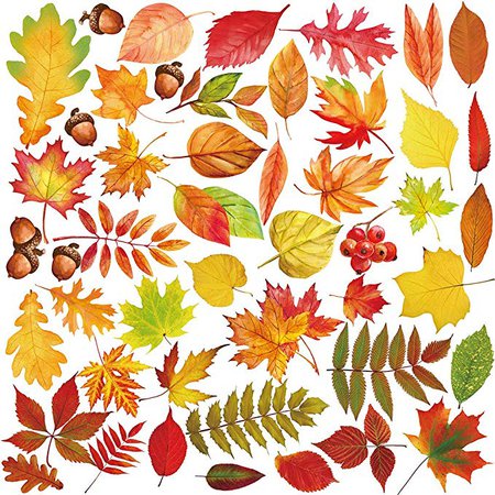 Amazon.com: Supla 8 Sheets 158 Pcs Fall Leaves Window Clings Decals Assorted Maple Oak Leaves Acorns Window Stickers for Autumn Thanksgiving Halloween Seasonal Holiday Glass Window Decorations: Home & Kitchen