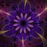 Dark purple fractal flower, digital artwork for creative graphic design Stock Photo by ©KeilaNeokow 30327957