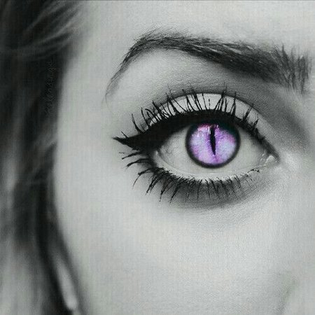 Pink/Purple Feline/Dragon Eye