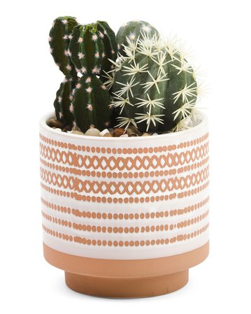 9in Faux Cactus In Terra Cotta Pot - Living Room - T.J.Maxx