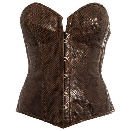 *clipped by @luci-her* Dolce and Gabbana brown python bustier corset