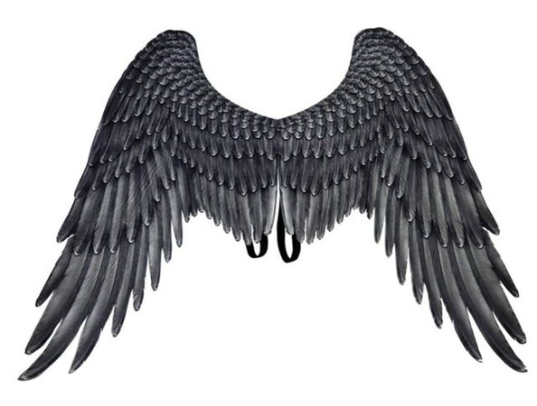 Black Crow Wings