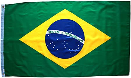 brazilian flag 1