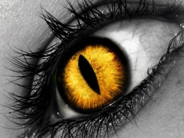 Olhos amarelo