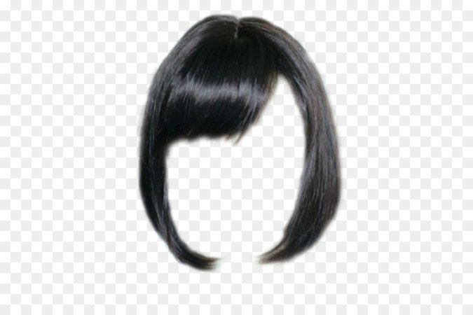 Wig Black hair Capelli Hairstyle - Lock Of Hair png download - 450*600 - Free Transparent Wig png Download.