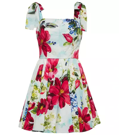 Floral Cotton Poplin Minidress in Multicoloured - Dolce Gabbana | Mytheresa