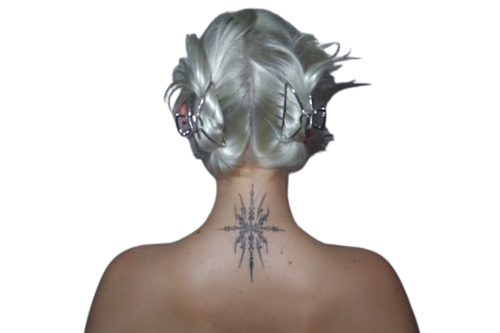 Hairstyle PNG