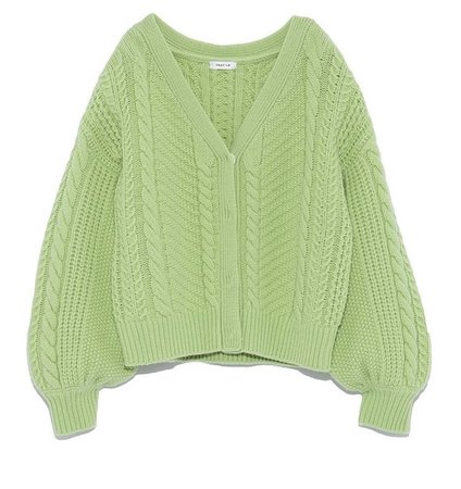 sweater (green)