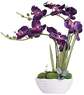 Amazon.com: YSZL Large Artificial Potted Orchid Plant, Silk Flower Arrangement with Ceramics Vase, Dark Purple: Home & Kitchen