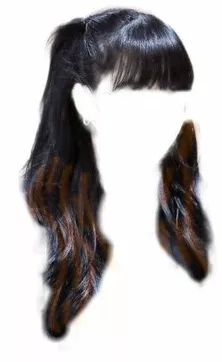 Black hair with brown streaks and bangs half updo (orig. cloud9 | SuHi edit)