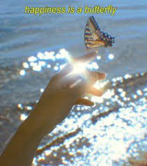 happiness is a butterfly