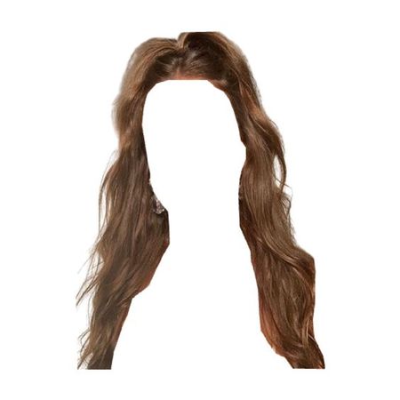 brown hair half up half down ponytail