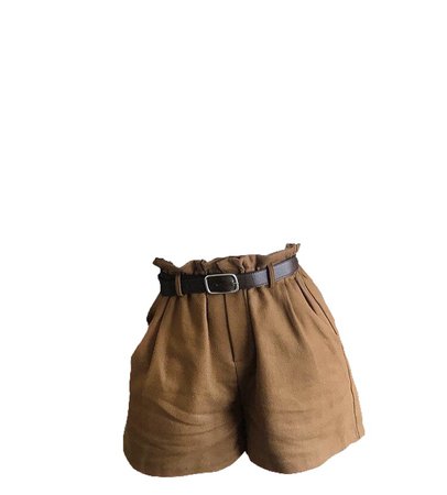 brown bag waist shorts