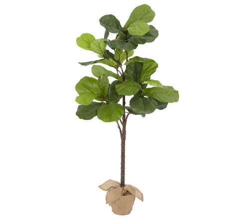 Faux Potted Fiddle Leaf Fig Trees | Pottery Barn